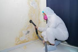 Best Biohazard Mold Removal in Ford City, PA